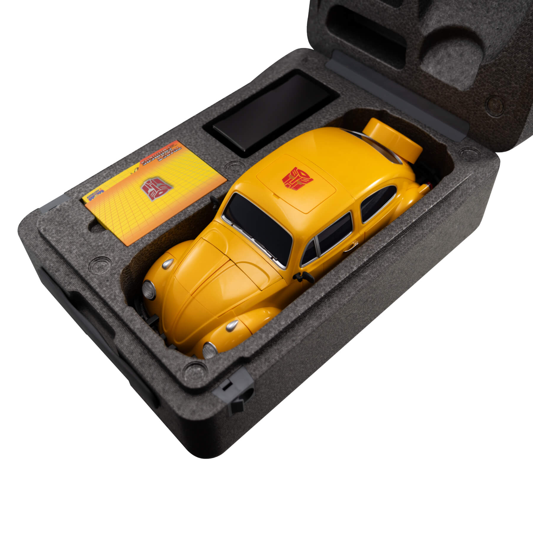 Bumblebee Auto-Converting Robot