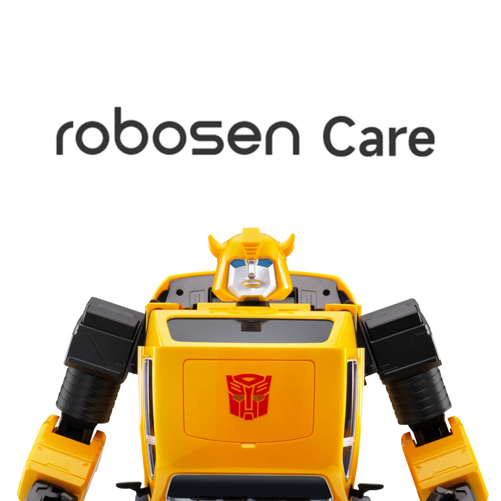 1 an d’extension de garantie - Flagship Bumblebee